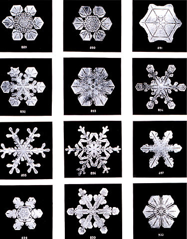 File:SnowflakesWilsonBentley.jpg