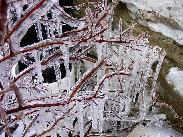 File:Icicles.jpg