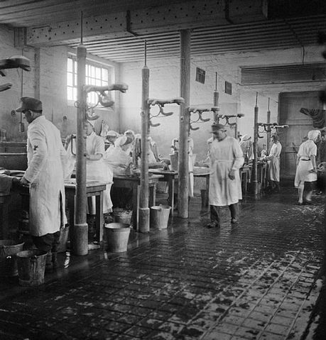 File:Bergen Belsen Liberation 05.jpg