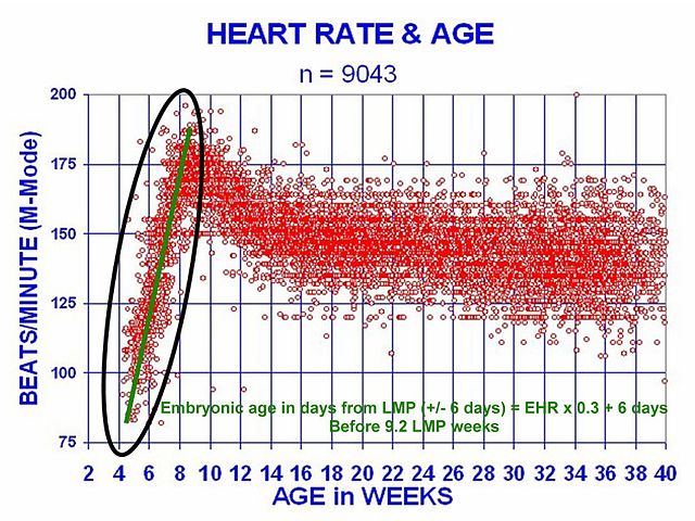 File:EHR-BBII.jpg
