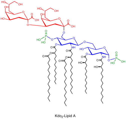 File:Kdo2 lipidA.png