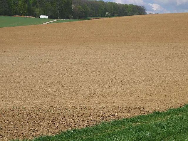 File:L&ouml;ssacker.jpg