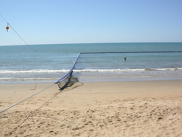 File:JellyfishNetAustralia.JPG