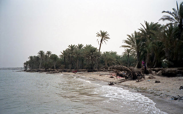 File:Tihama.jpg