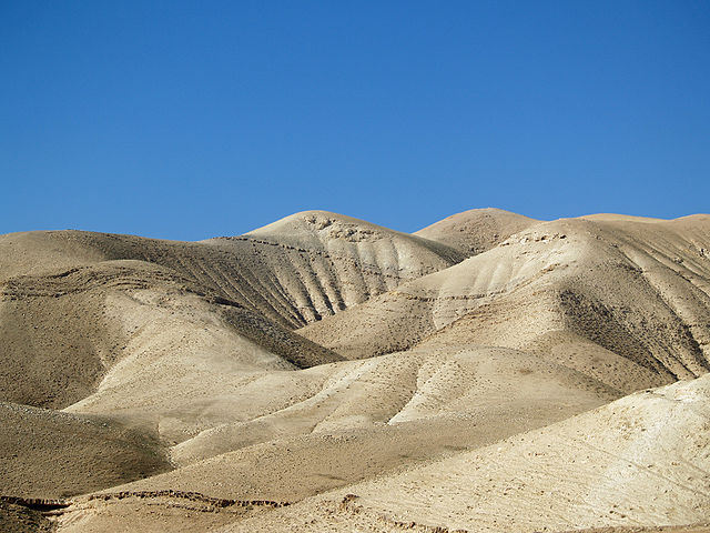 File:Judea 2 by David Shankbone.jpg