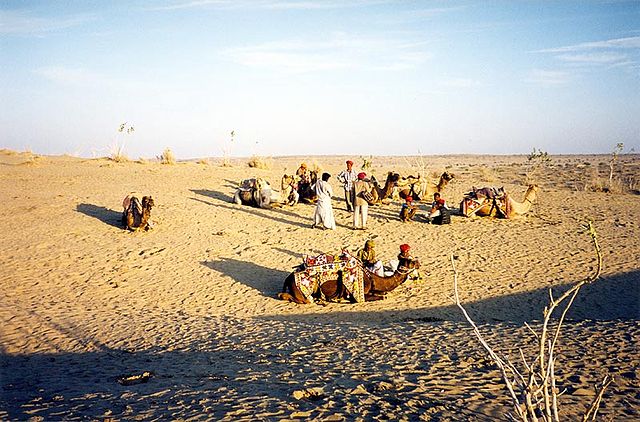 File:Désert-du-Thar.jpg