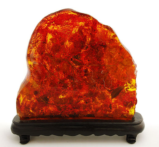 File:Fossil amber with abee.jpg