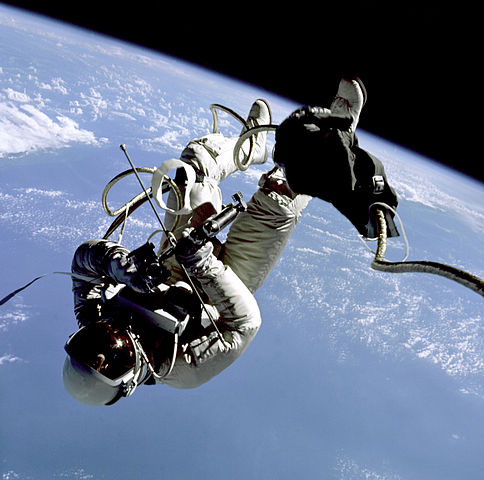 File:WhiteEarthLimb.ws.jpg