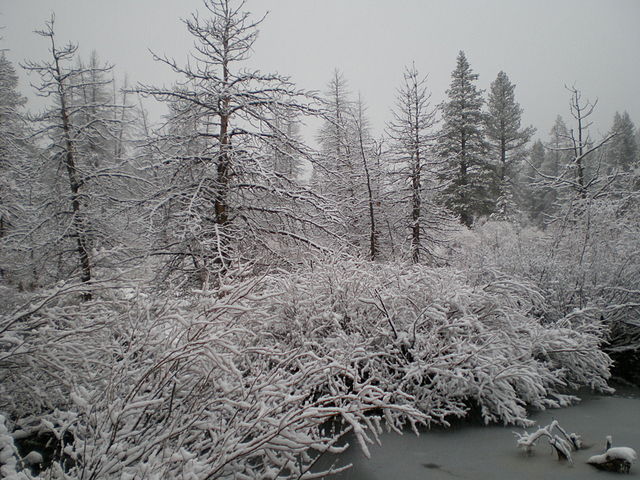 File:TruckeeWinter07.jpg