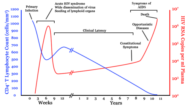 File:Hiv-timecourse.png