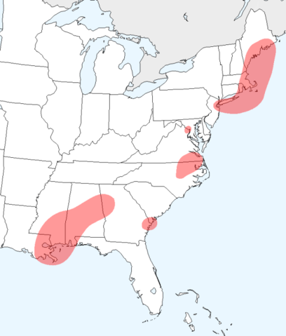 File:Non rhotic-whites-usa.png