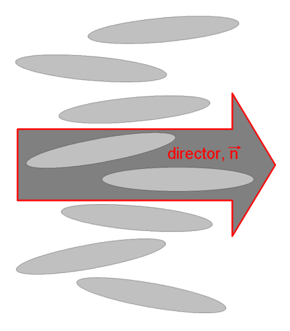 File:Nematic-Director.png