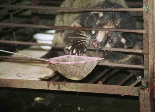 File:Zigong People's Park Zoo.jpg