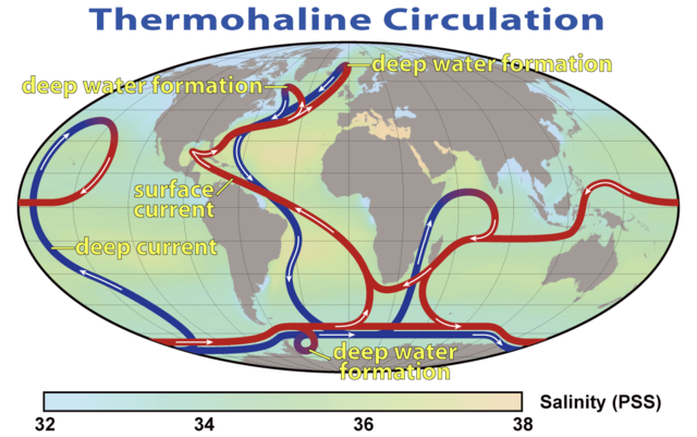 File:Thermohaline Circulation 2.png