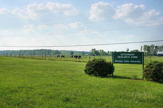 File:MSU Vet Research Farm.jpg