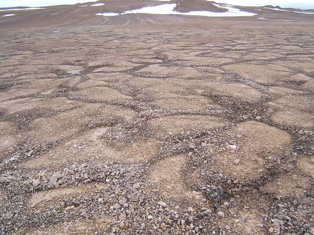 File:Patterned ground devon island.jpg