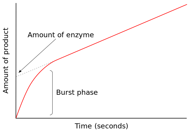 File:Burst phase.svg
