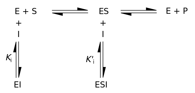 File:Reversible inhibition.svg