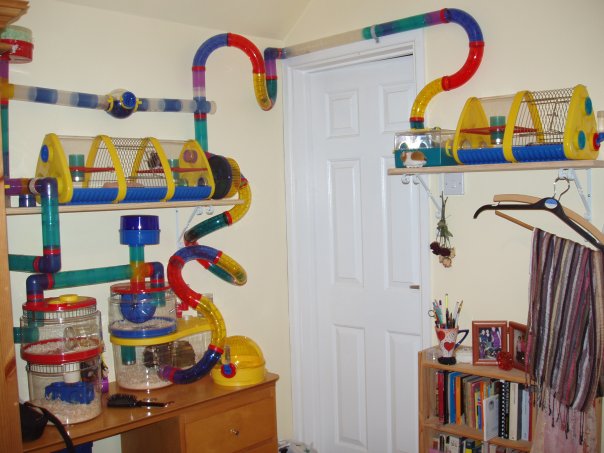 File:Mycage.jpg