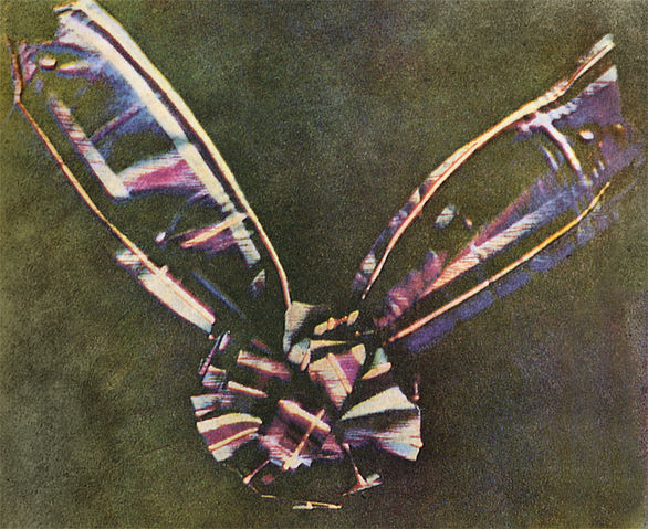 File:Tartan Ribbon.jpg