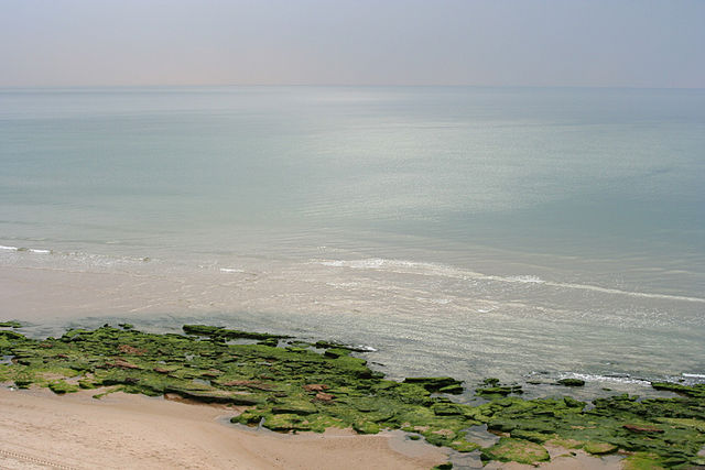 File:Wingate 124.jpg