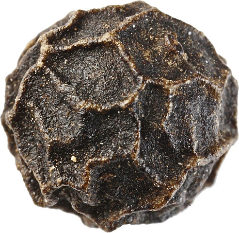 File:Sa-pepper.jpg
