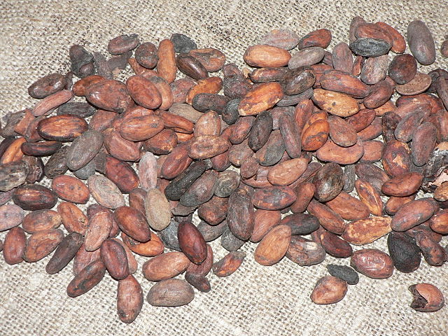 File:Cocoa beans P1410151.JPG