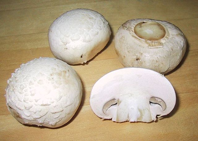 File:ChampignonMushroom.jpg
