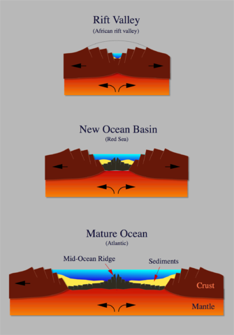 File:Ocean-birth hg.png