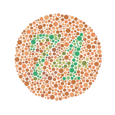 File:Ishihara 9.png