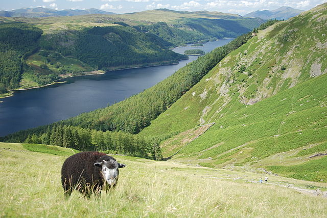 File:Thirleme 069.jpg