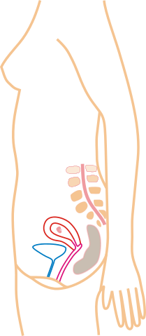File:Month 1.svg
