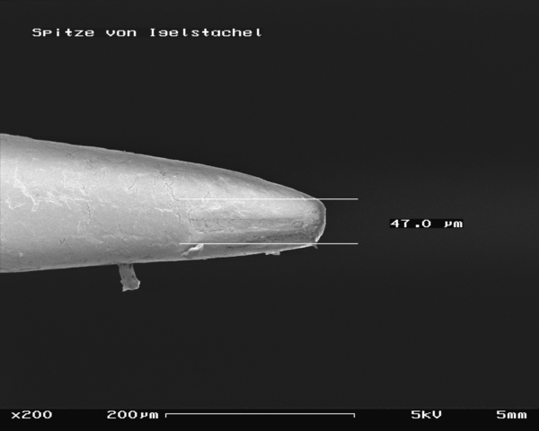 File:Hedgehog sting in SEM, 200x.GIF