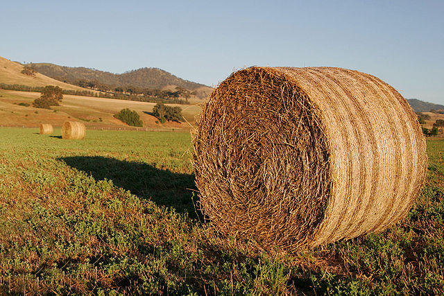 File:Round hay bale at dawn02.jpg