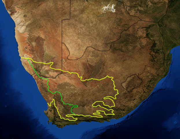 File:Karoo ecoregion.jpg