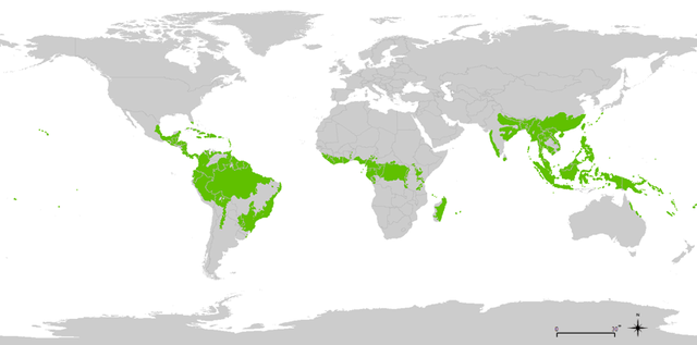 File:800px-tropical wet forests.png