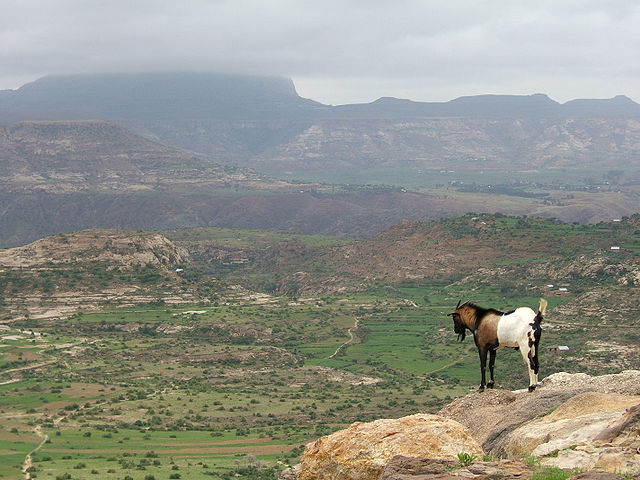 File:Ethiopian Highlands 01.jpg