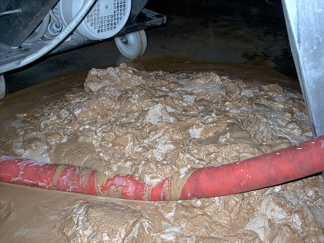 File:DE and yeast.JPG