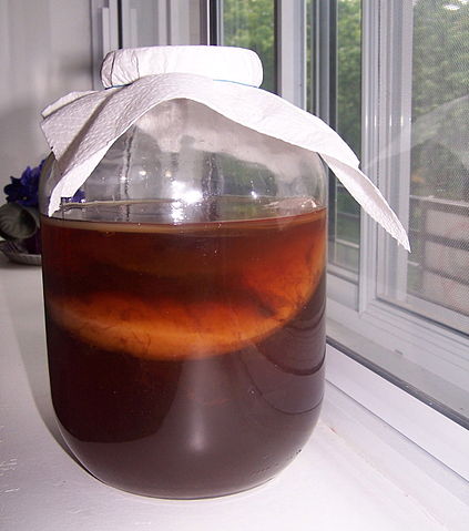 File:Kombucha jar.jpg