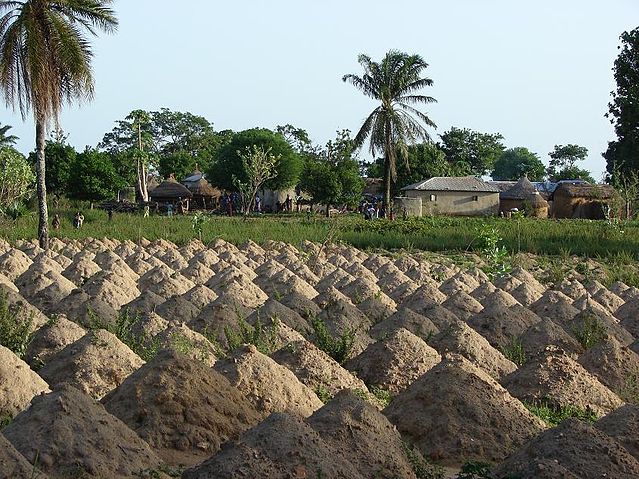 File:Sokodé-campagne.jpg