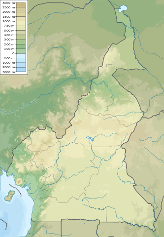 File:Cameroon physical map.svg