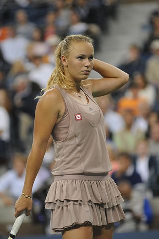 File:US Open 2009 4th round 156.jpg
