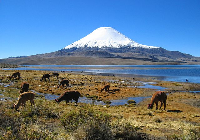 File:Parinacota volcano.jpg