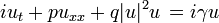 iu_t+pu_{xx} +q|u|^2u \, =i\gamma u