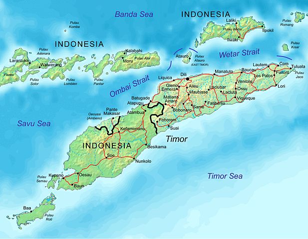File:East Timor map mhn.jpg